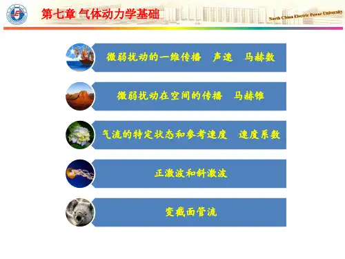气体一维流动