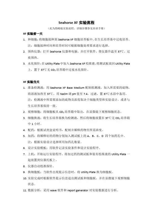 Seahorse XF实验流程