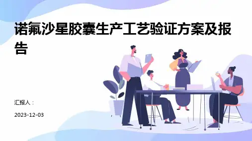 诺氟沙星胶囊生产工艺验证方案及报告