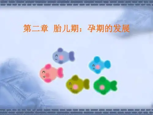 二章胎儿期孕期的发展-PPT精品文档