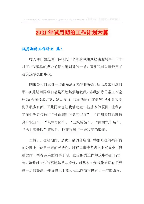 2021年试用期的工作计划六篇