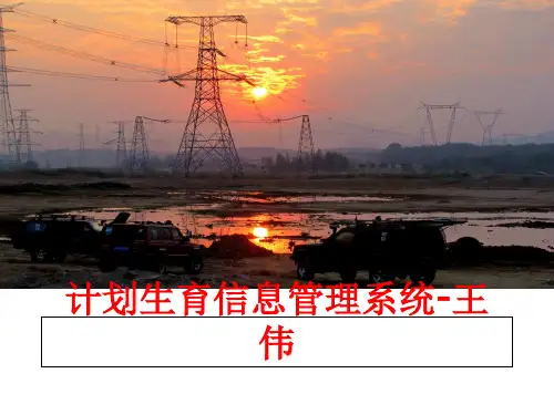 最新计划生育信息系统-王伟