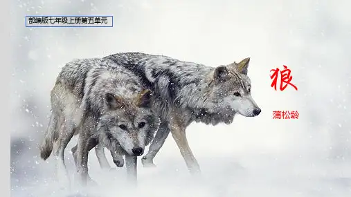 第20课《狼》教学课件精品