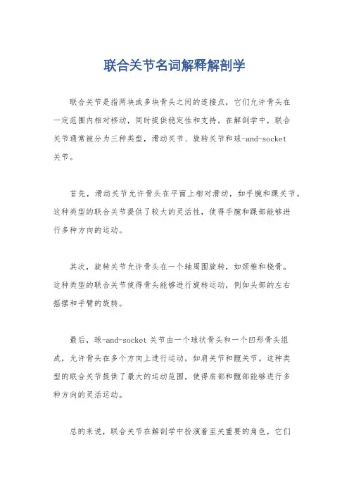 联合关节名词解释解剖学