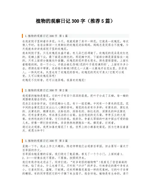 植物的观察日记300字(推荐5篇)