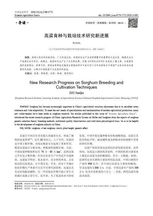 高粱育种与栽培技术研究新进展