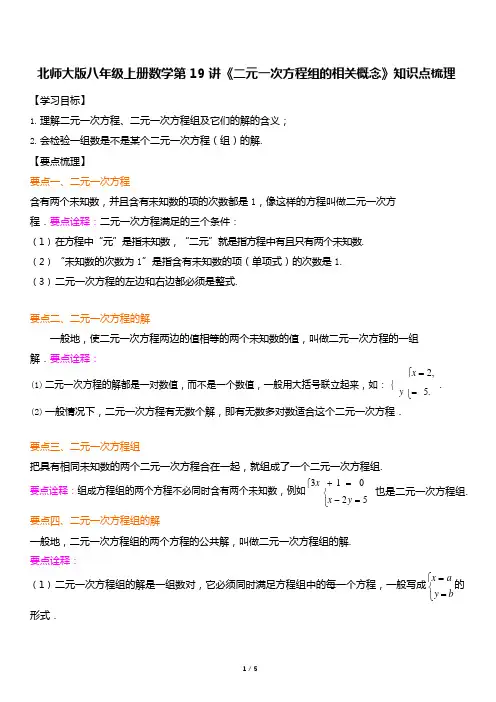 北师大版八年级上册数学第19讲《二元一次方程组的相关概念》知识点梳理