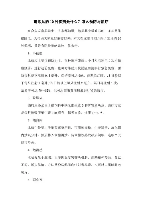鹅常见的10种疾病是什么？怎么预防与治疗