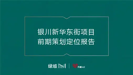 银川新华路项目定位报告