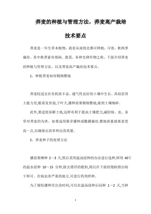 荞麦的种植与管理方法,荞麦高产栽培技术要点