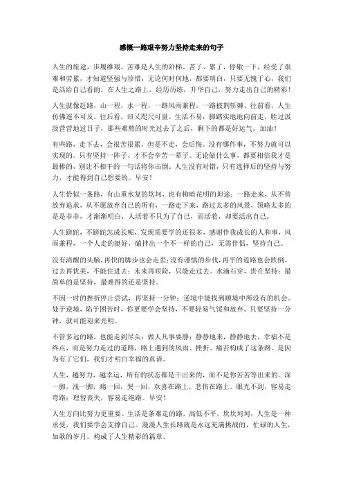 感慨一路艰辛努力坚持走来的句子