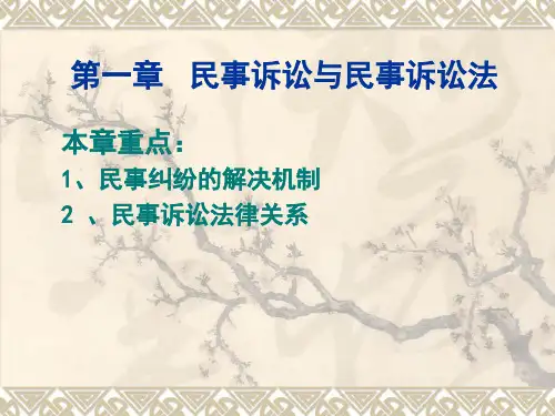 民事诉诉法第01章 民事诉讼和民事诉讼法-文档资料