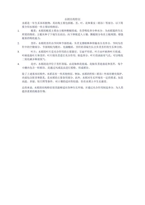 水稻结构特征