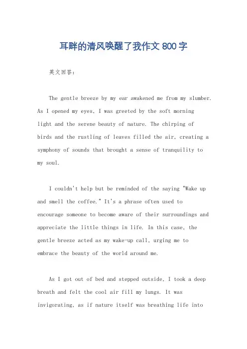 耳畔的清风唤醒了我作文800字