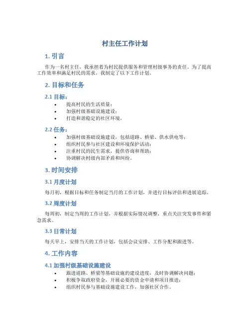 村主任工作计划