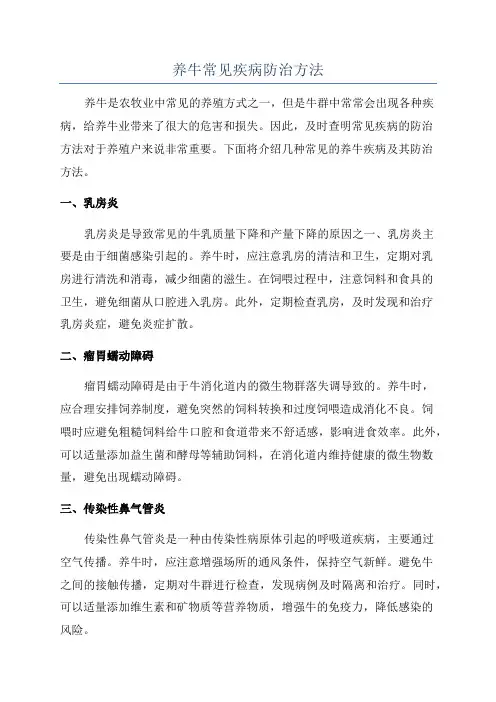 养牛常见疾病防治方法
