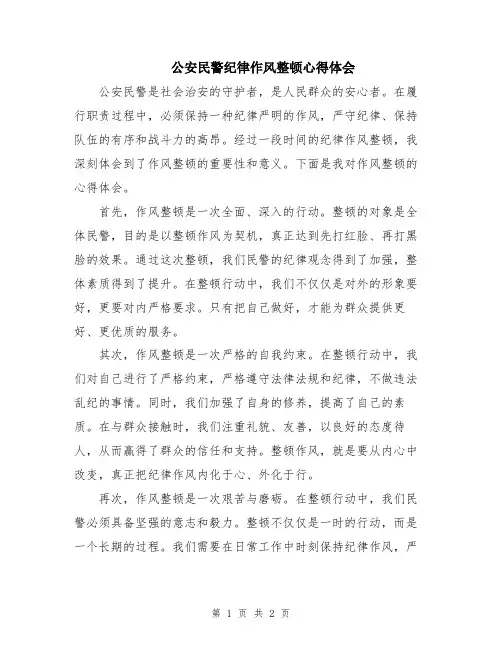 公安民警纪律作风整顿心得体会