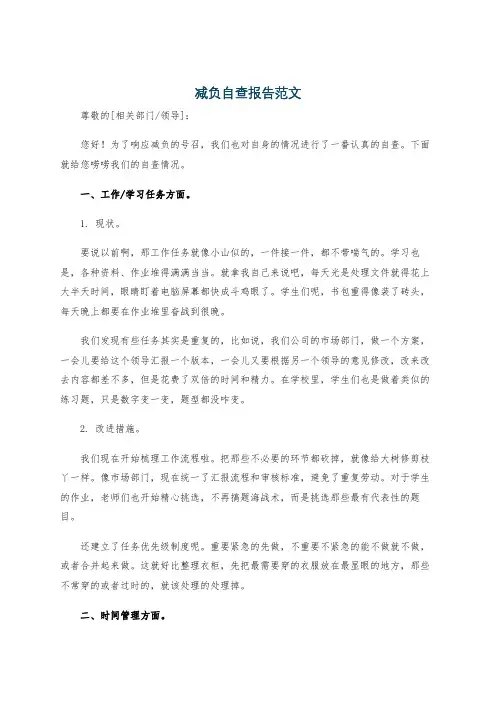 减负自查报告范文