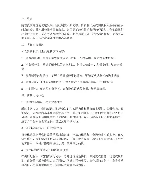 消费税的实训报告心得