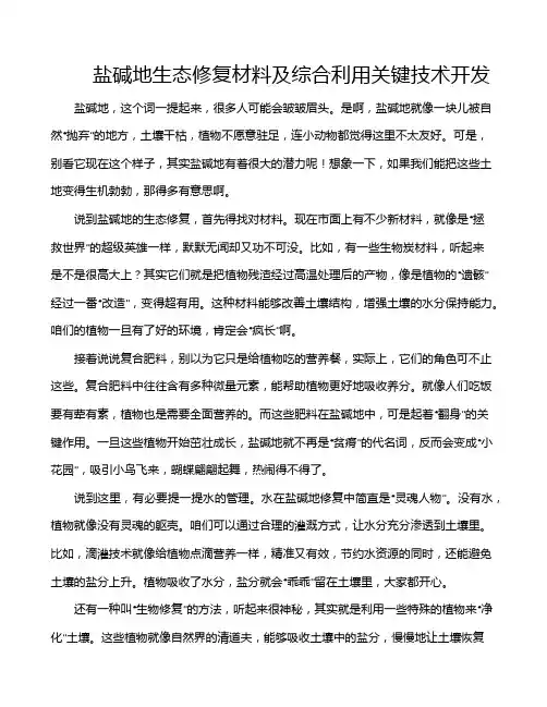 盐碱地生态修复材料及综合利用关键技术开发