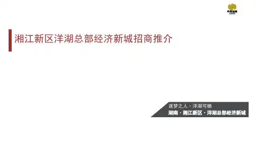 2016年长沙湘江新区洋湖新城项目招商推介_推广手册资料