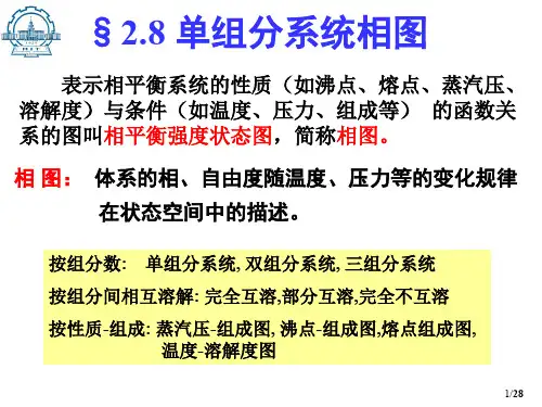 2.8 单组分体系相图