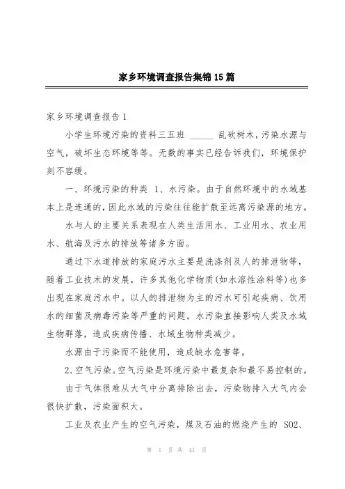 家乡环境调查报告集锦15篇