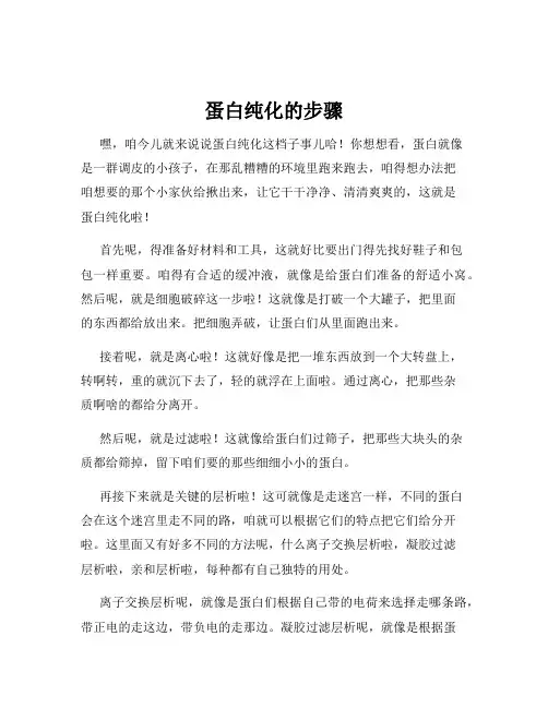 蛋白纯化的步骤