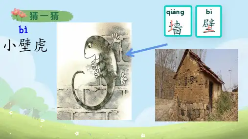 20小壁虎借尾巴 第一课时 课件(共30张PPT)