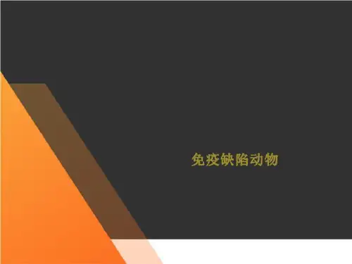 免疫缺陷动物
