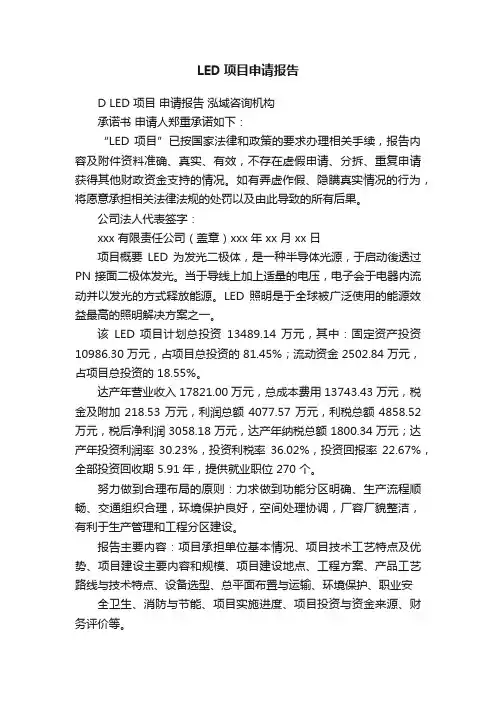 LED项目申请报告