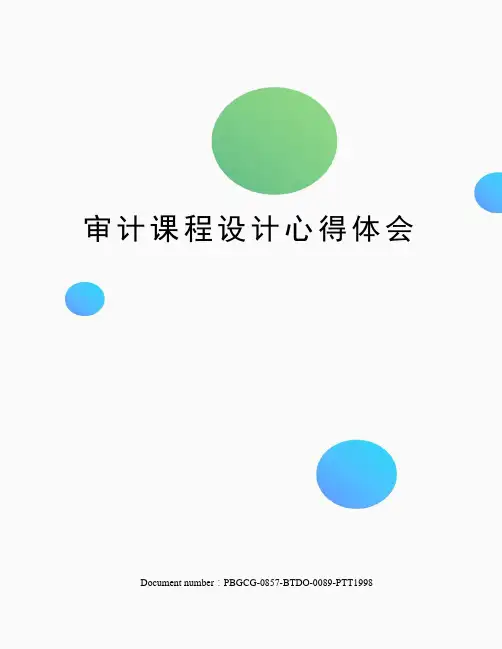审计课程设计心得体会