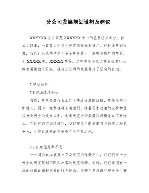 分公司发展规划设想及建议