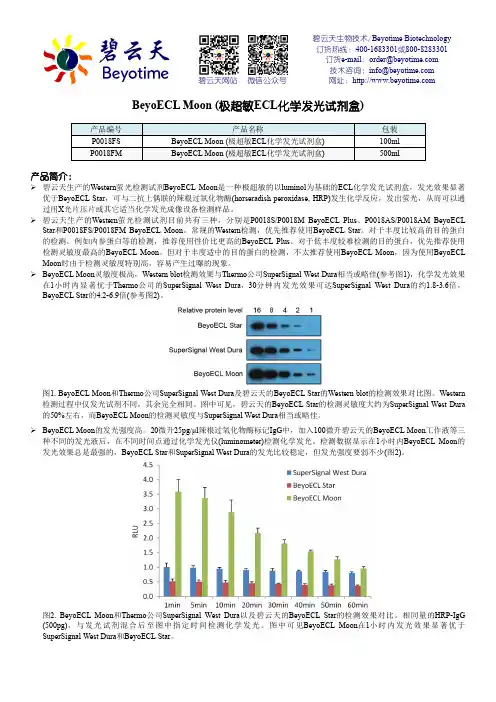 碧云天生物技术Beyotime Biotechnology产品说明书