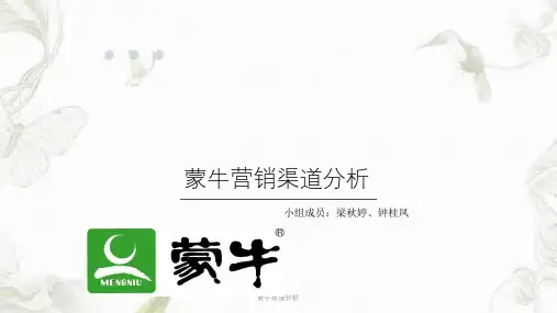 蒙牛渠道分析ppt课件