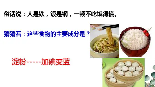 第三节植物光合作用的实质课件2021-2022学年苏教版生物七年级上册