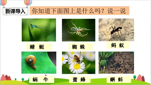 【最新部编版】一年级下语文《动物儿歌》PPT完整版1