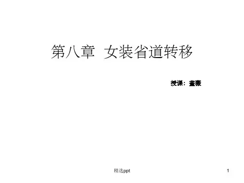 《女装省道转移》PPT课件