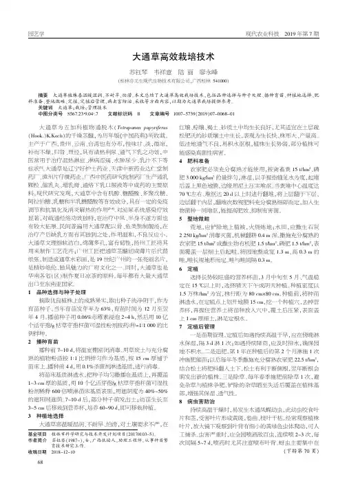 大通草高效栽培技术