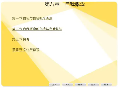 第八章自我概念ppt课件