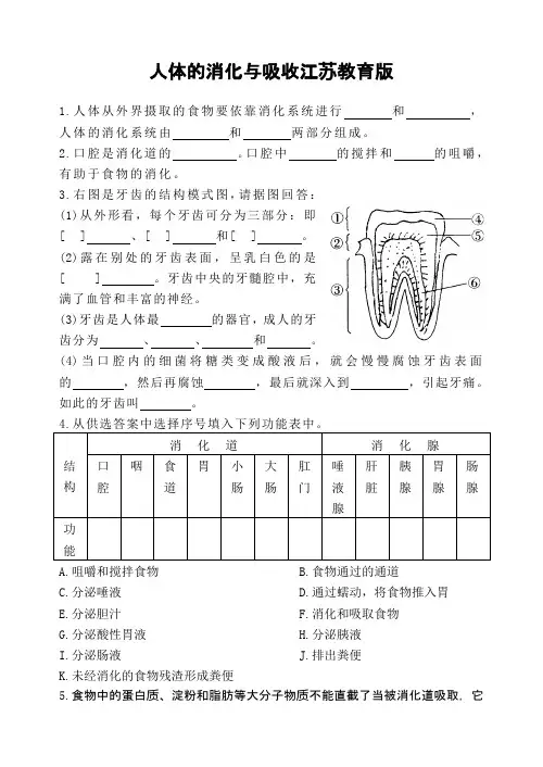 人体的消化与吸收江苏教育版