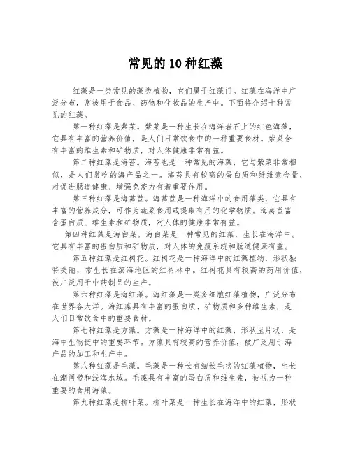 2023年关于1常见的10种红藻