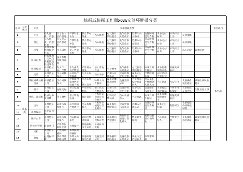 煤矿企业综掘或快掘工作面NOSA安健环牌板分类
