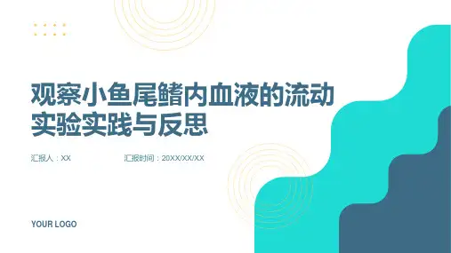 实验“观察小鱼尾鳍内血液的流动”的实践和反思