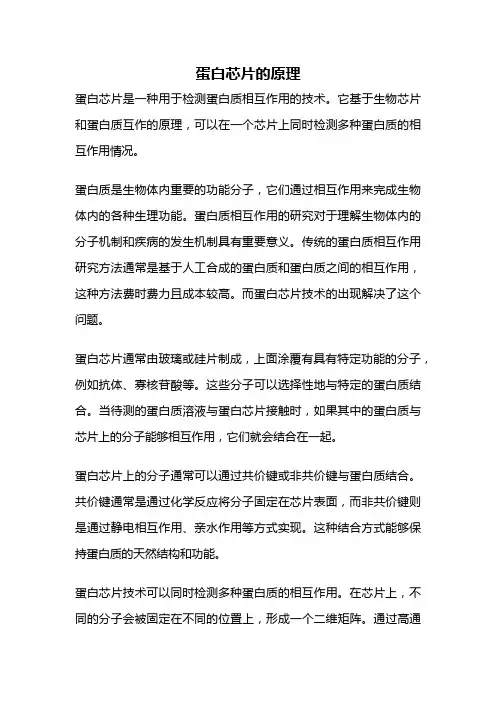 蛋白芯片的原理
