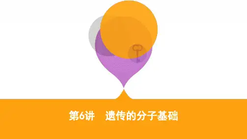 第6讲 遗传的分子基础 课(73张ppt)2021届高三新高考生物二轮复习