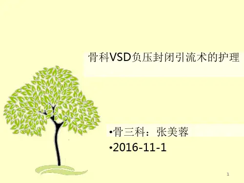 VSD负压吸引 ppt课件