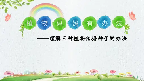 最新部编人教版二年级语文上册《植物妈妈有办法——理解三种植物妈妈传播种子的办法》教学课件