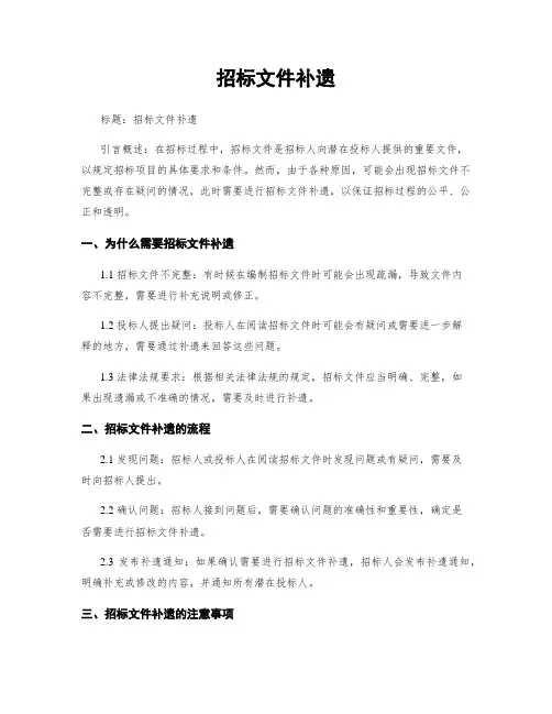 招标文件补遗