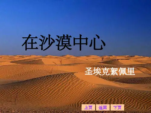 《在沙漠中心》》PPT课件